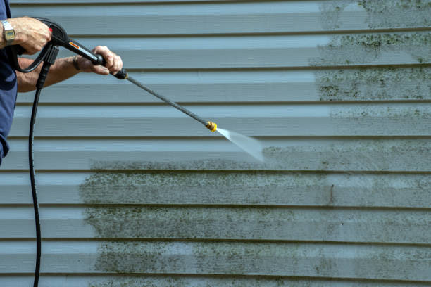 Best Brick and Stone Cleaning in Quitman, MS