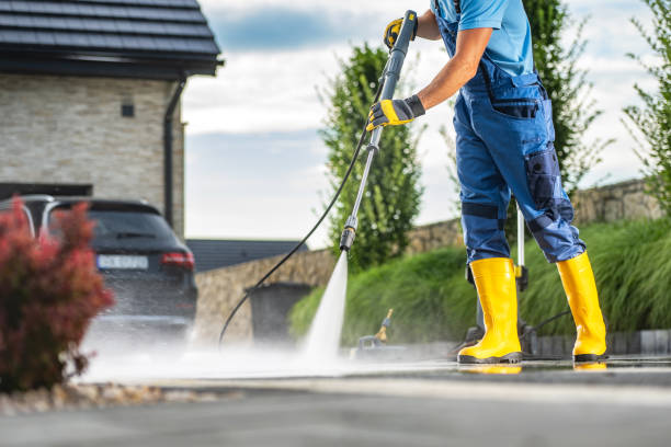 Best Soft Washing for Delicate Surfaces in Quitman, MS